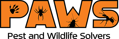 Pest & Wilflife Solvers logo that says "PAWS" in bright orange and has the black outline of pests within it